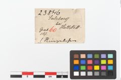 Etiketten zu Bronzering (NHMW-PRAE-023846)